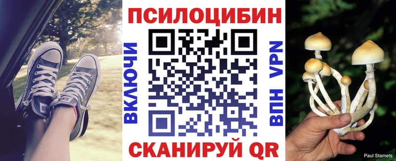 Псилоцибиновые грибы Psilocybine cubensis Камбарка